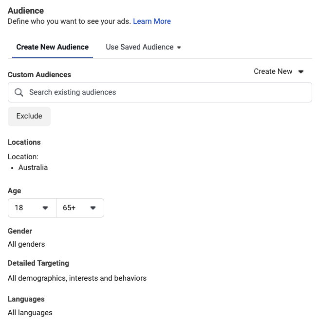 facebook ad audience example